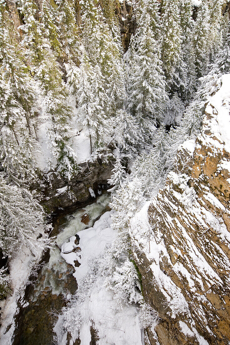 A Snowy River Gorge, Revelstoke, Bc, Canada