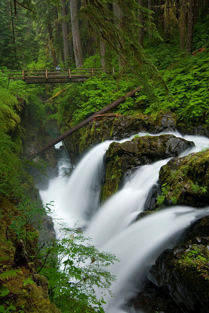 'Waterfall Plunges Into A Canyon In An Old-Growth Rainforest; Usa, Washington, Olympic National Park, Sol Duc River'