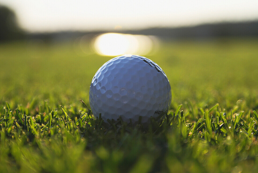 'Golf Ball On Organic Golf Course; Canada, Manitoba, Riding Mountain National Park'