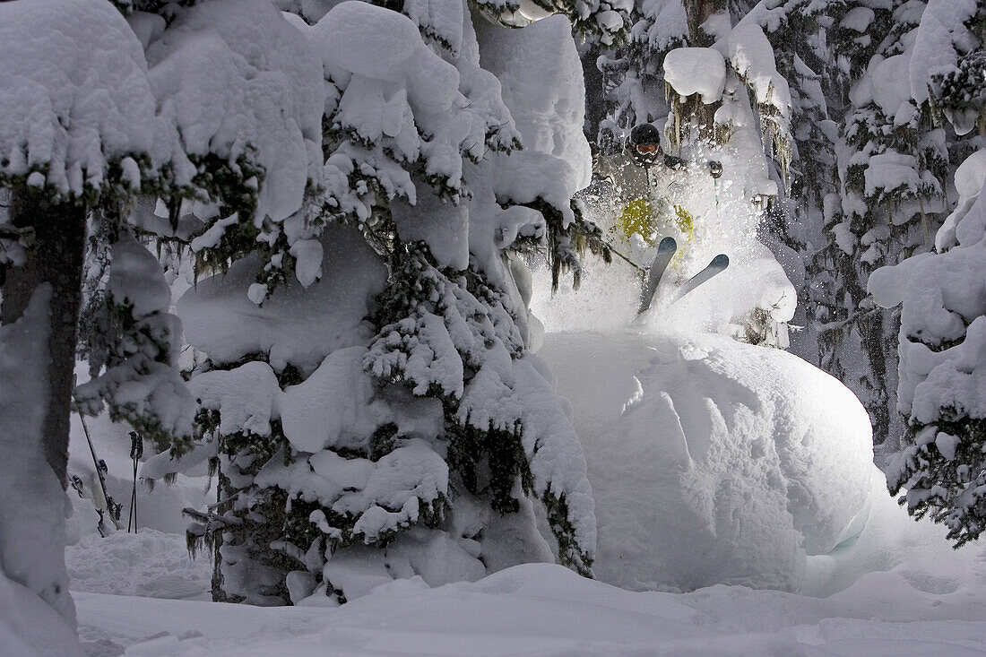 Skiing Deep Powder Through The Trees On A Stormy Day On Blackcomb, Bc, Canada