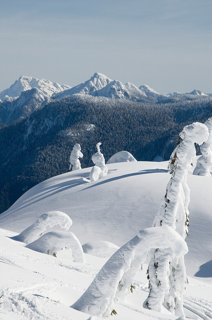 Snowshoeing On Grouse Mountain, British Columbia