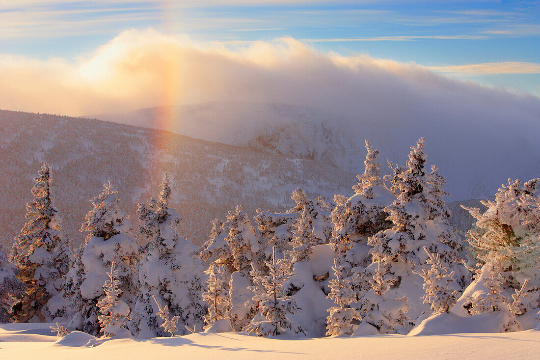 View Of Snow-Covered Trees, Frost Rainbow And Mont Logan At Sunset, Quebec, Canada