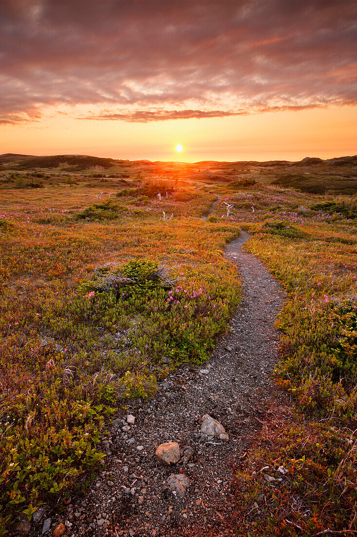 View Of Lookout Trail At Sunset, Gros Morne Np, Newfoundland, Canada