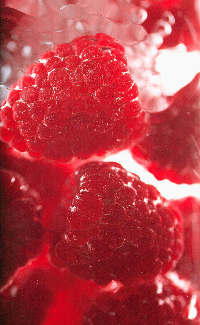 Raspberries Floating In Water