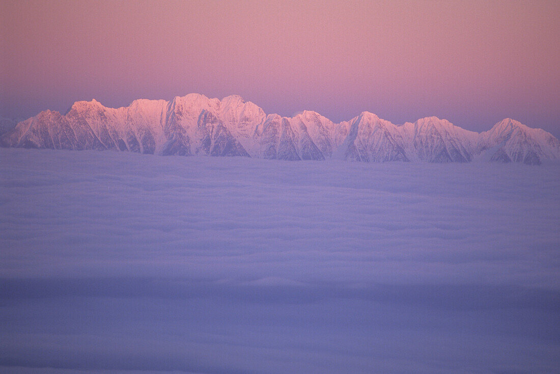 Mountain Ridge Called The Steeples In Evening Light With Cloud Inversion, East Kootenays, B.C.