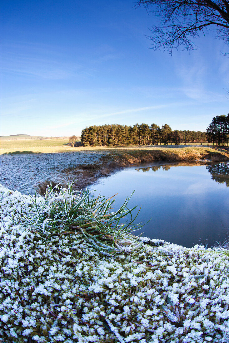 'Traces Of Snow On The Grass Along A Stream; Northumberland, England'