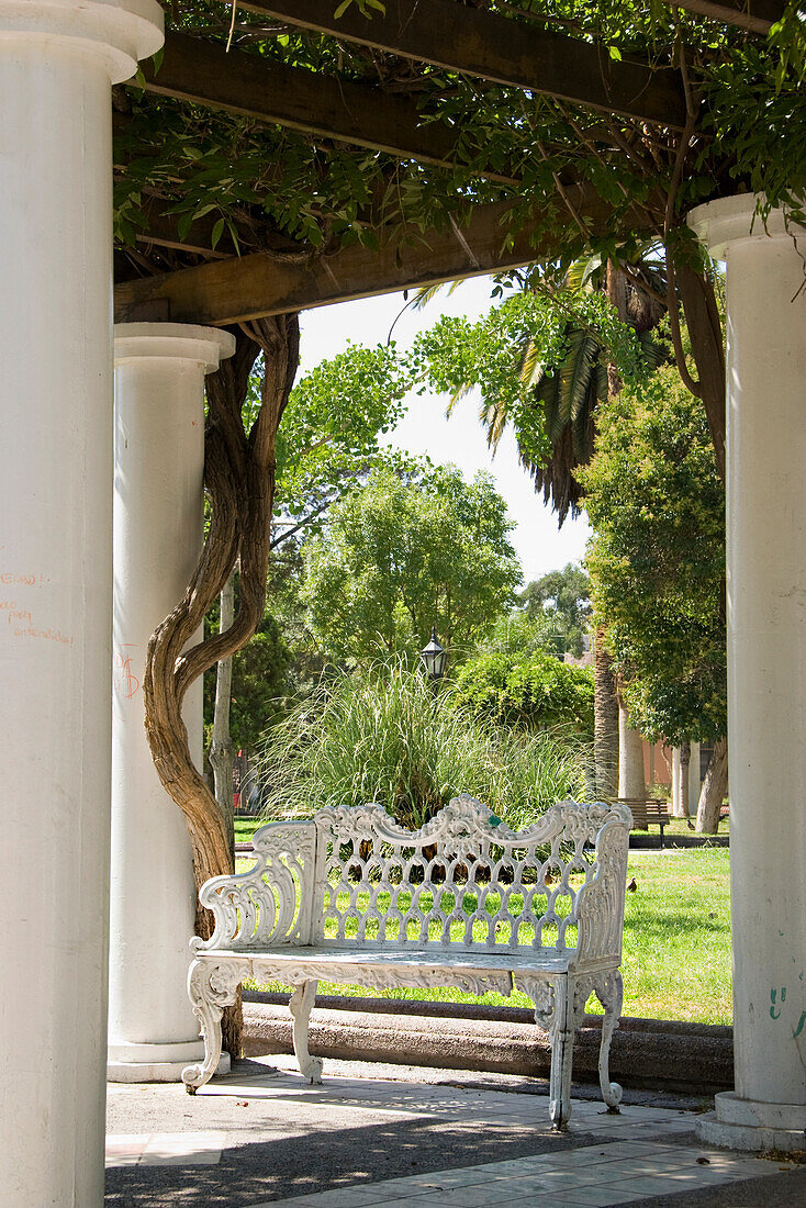 'White Iron Bench In The Shade; Mendoza, Argentina'