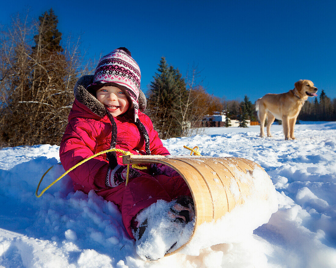 'A Young Girl Sits On A Toboggan In The Snow With A Dog In The Background; Spruce Grove, Alberta, Canada'