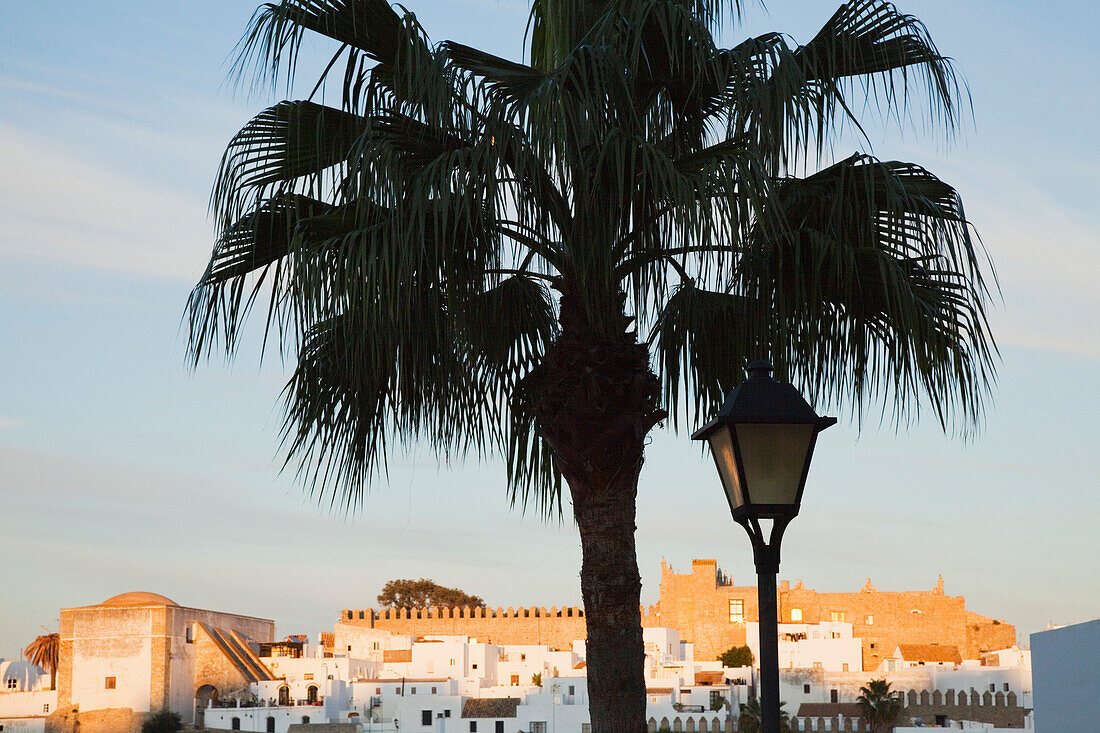 'Palm Tree And Lamp Post And The Old Town; Vejer De La Frontera, Andalusia, Spain'