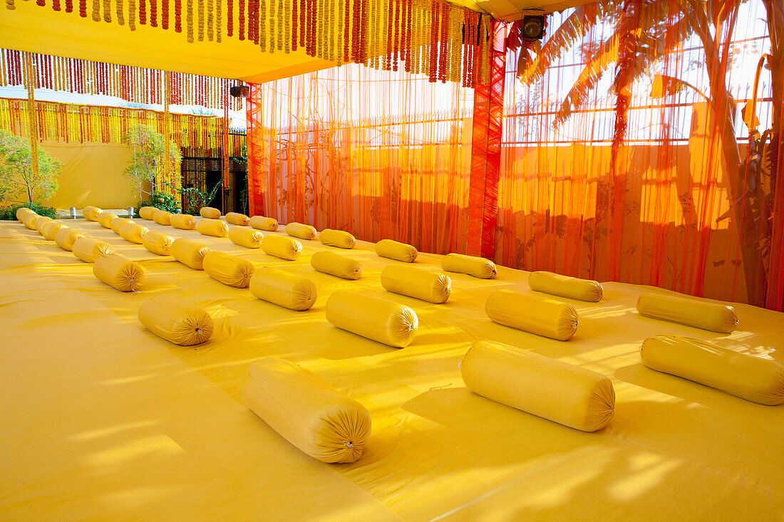 'A Room Decorated With Yellow Rolled Cushions And Silhouette Of Palm Trees Showing Through The Sheer Curtains Around The Outside Of The Room; Ludhiana, Punjab, India'