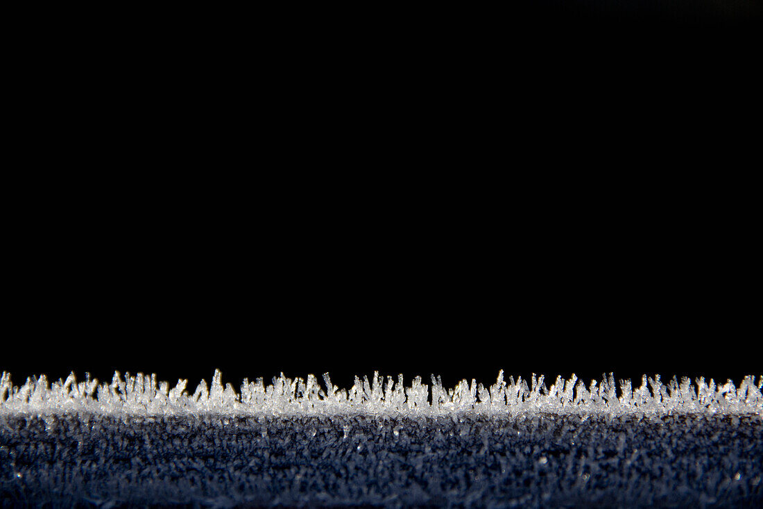 'Frost Covered Grass Against A Black Background; Cambridge, United Kingdom'