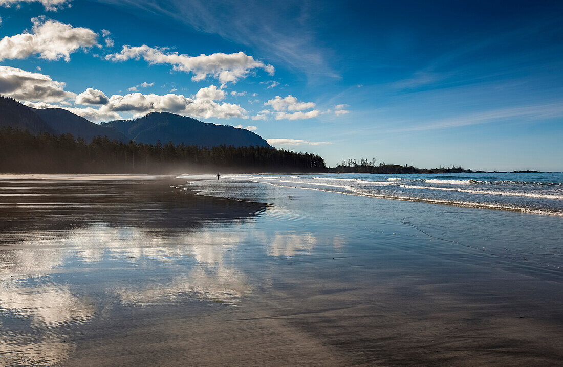 'The Sandy Beach At Rugged Point Marine Park On The West Coast Of Vancouver Island; British Columbia, Canada'