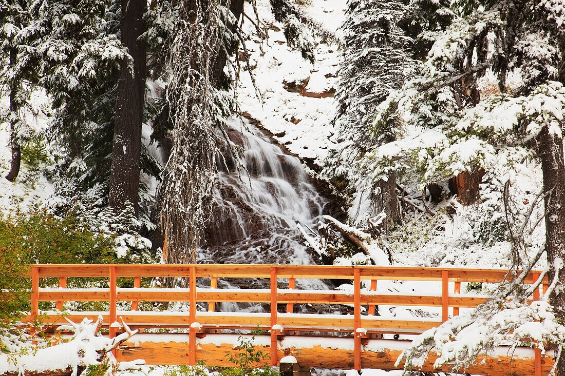 'First snow in autumn along umbrella falls on mount hood in the oregon cascades;Oregon united states of america'