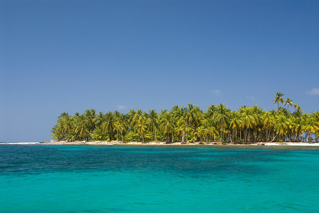 'Palm trees along the green water with blue sky;Arridup island san blas islands panama'