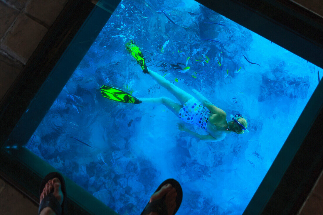'Snorkeler under the glass floor in a room of bora bora nui resort and spa;Bora bora island society islands french polynesia south pacific'