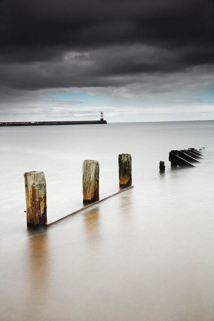 'Wooden posts in the tranquil water;Berwick northumberland england'