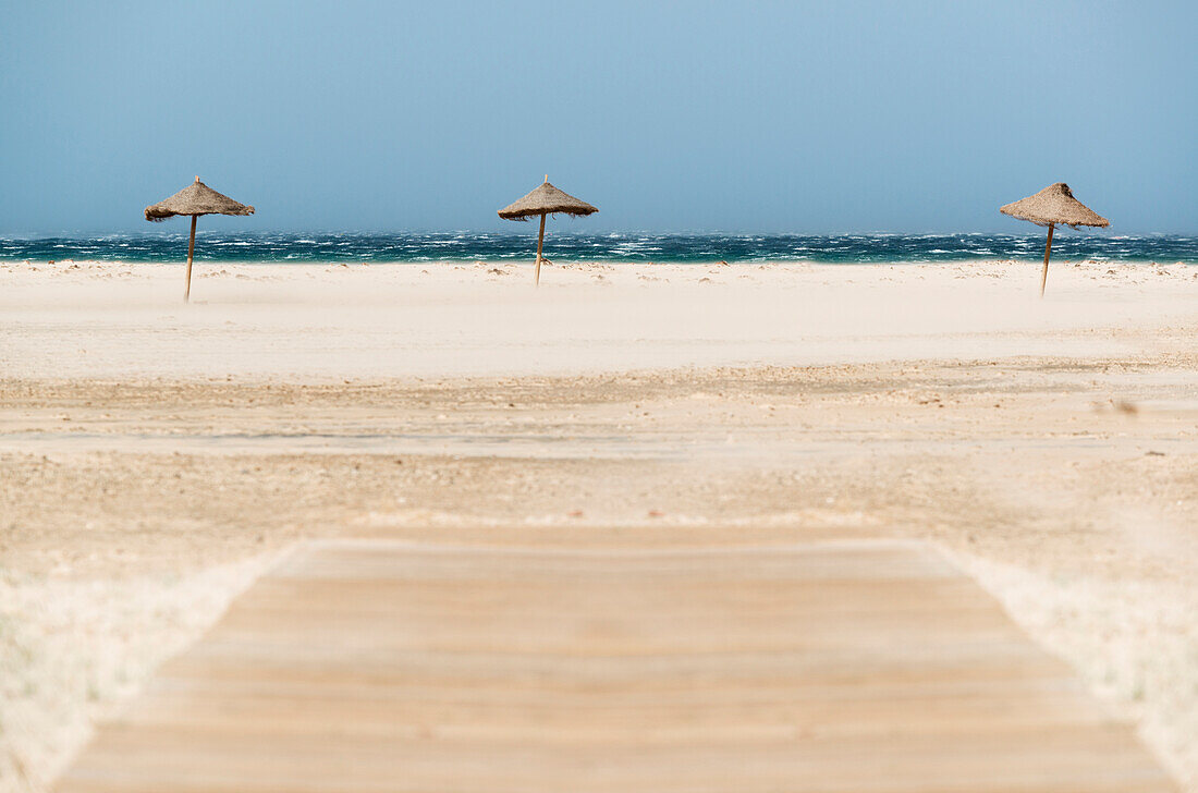 'Three umbrellas on a white sand beach along the water's edge;Tarifa cadiz andalusia spain'