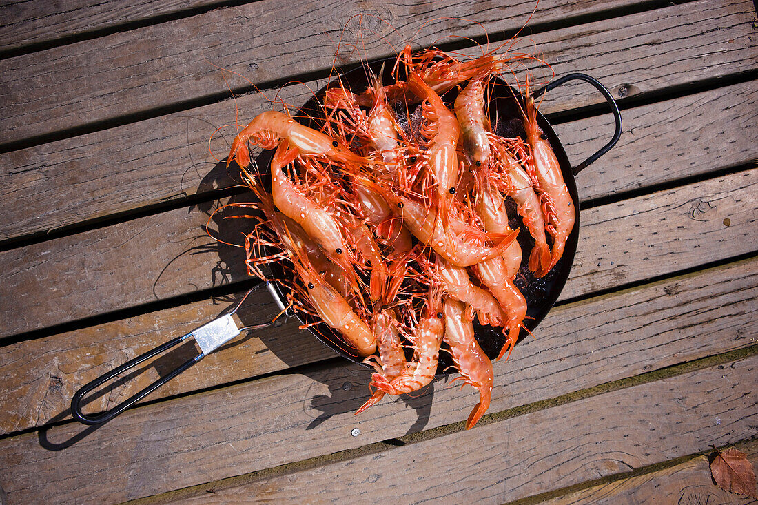 Fresh Caught Shrimp In A Pan, Shoup Bay State Marine Park, Southcentral Alaska, Summer