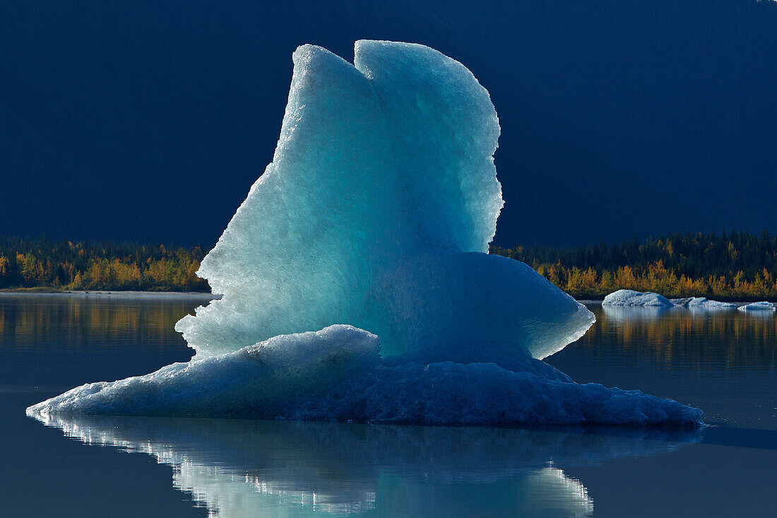 Icebergs Float On The Calm Surface Of Mendenhall Lake, Mendenhall Glacier, Juneau, Southeast Alaska, Autumn
