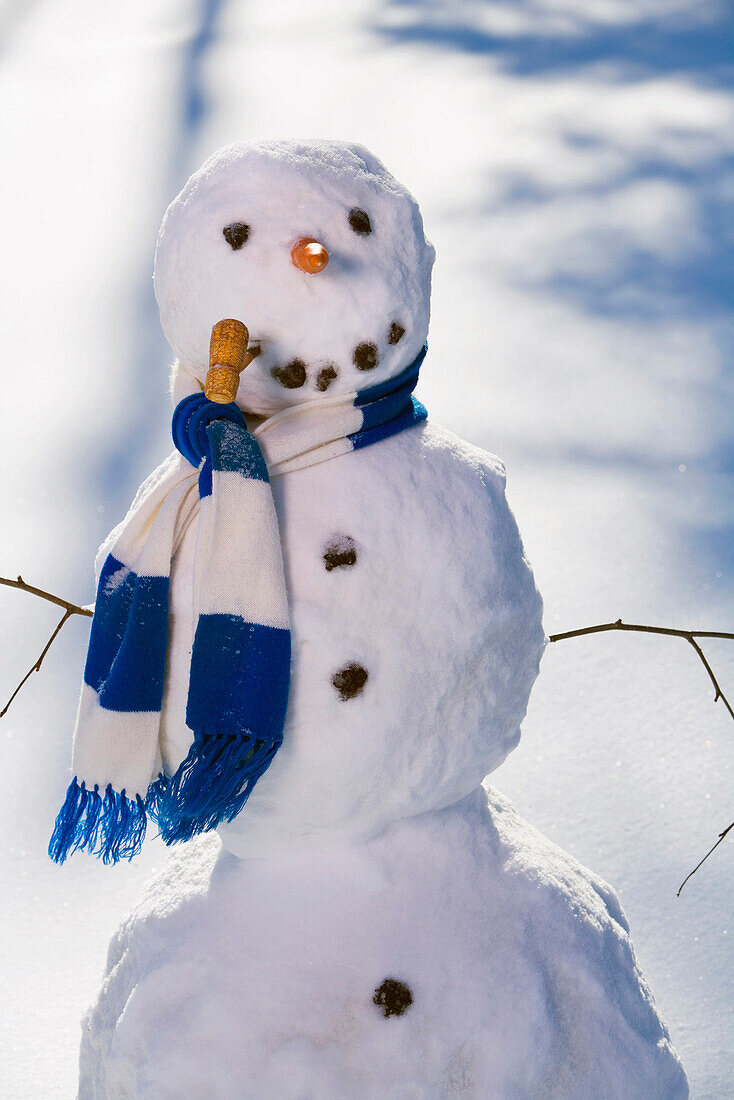 Snowman In The Woods In Afternoon Light After Making Snow Angel Interior Alaska Winter