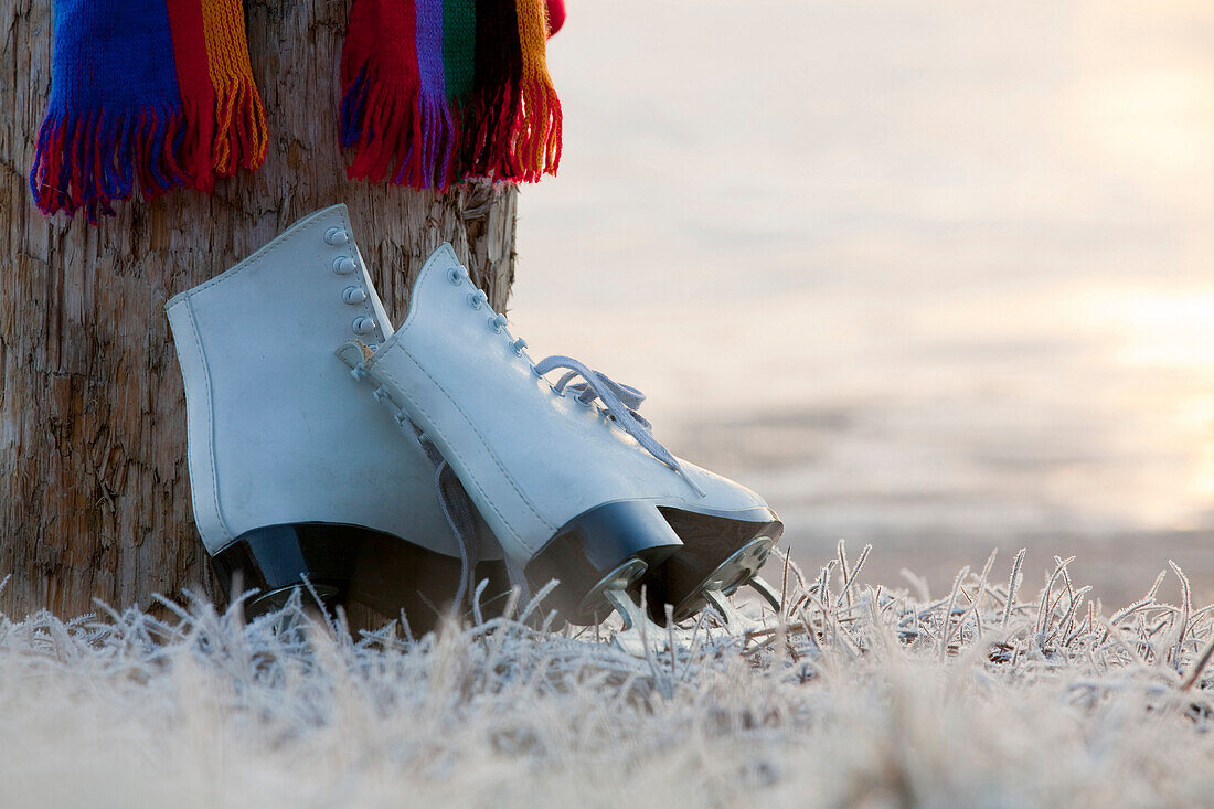 Close-Up Of Colorful Scarf And Figure Skates Leaning On Stump On Frosty Ground At Edge Of Frozen Lake, Kodiak, Southwest Alaska, Winter