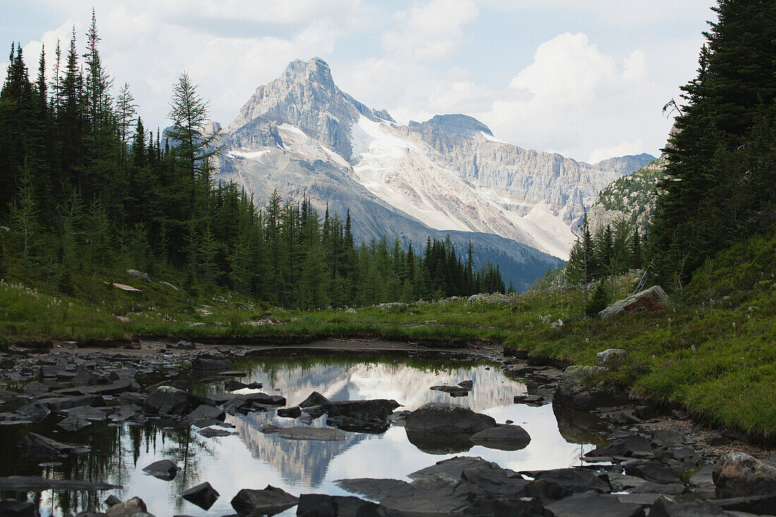 'Sunlit mountain reflecting an alpine pond with silhouetted trees and clouds in the sky;Field british columbia canada'