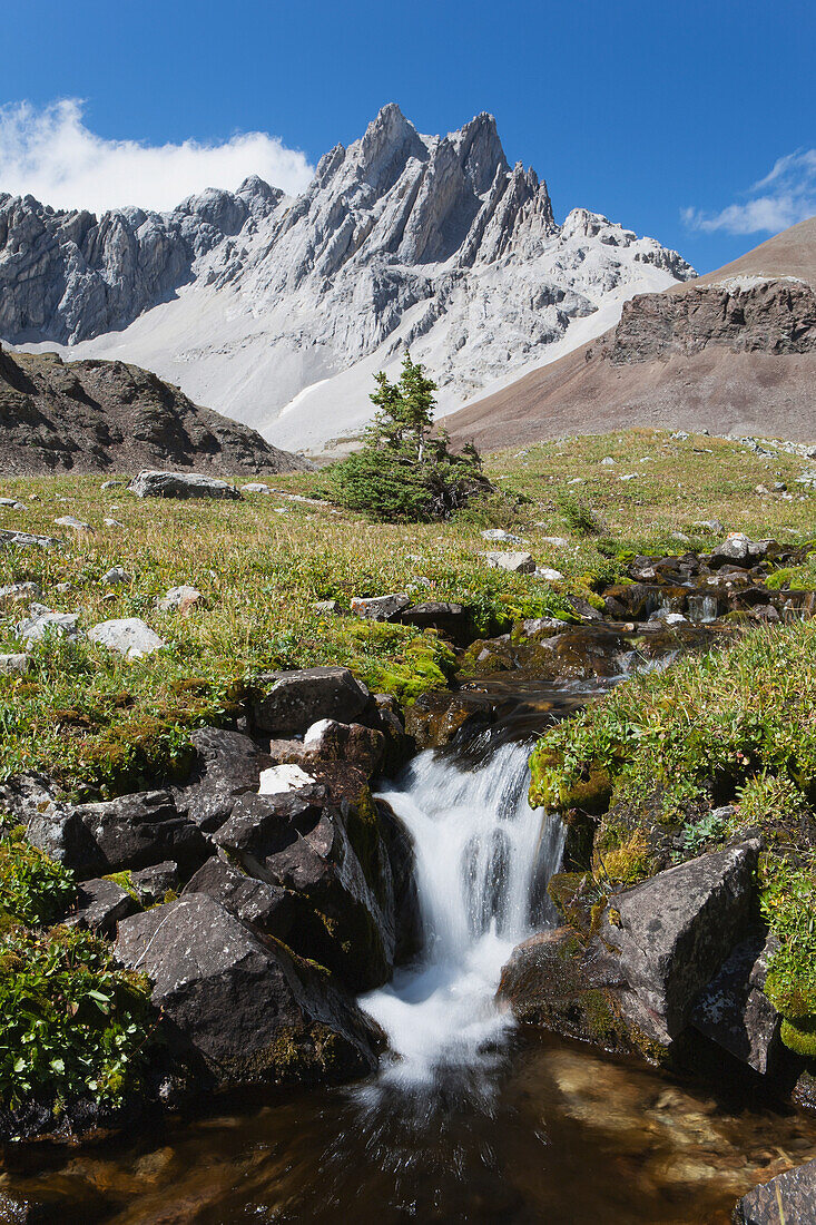 'Small waterfalls in creek with mountain meadows and mountains in the backgroud with blue sky in kananaskis provincial park;Alberta canada'