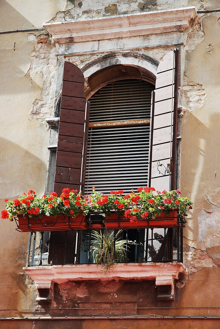 'Flowers in a window box with shutters open;Venice italy'