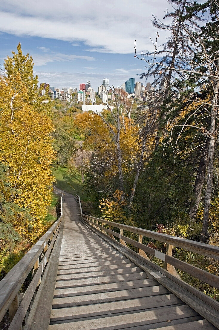 'Set of wooden steps with railing lined with trees in autumn and a city skyline in the background;Edmonton alberta canada'