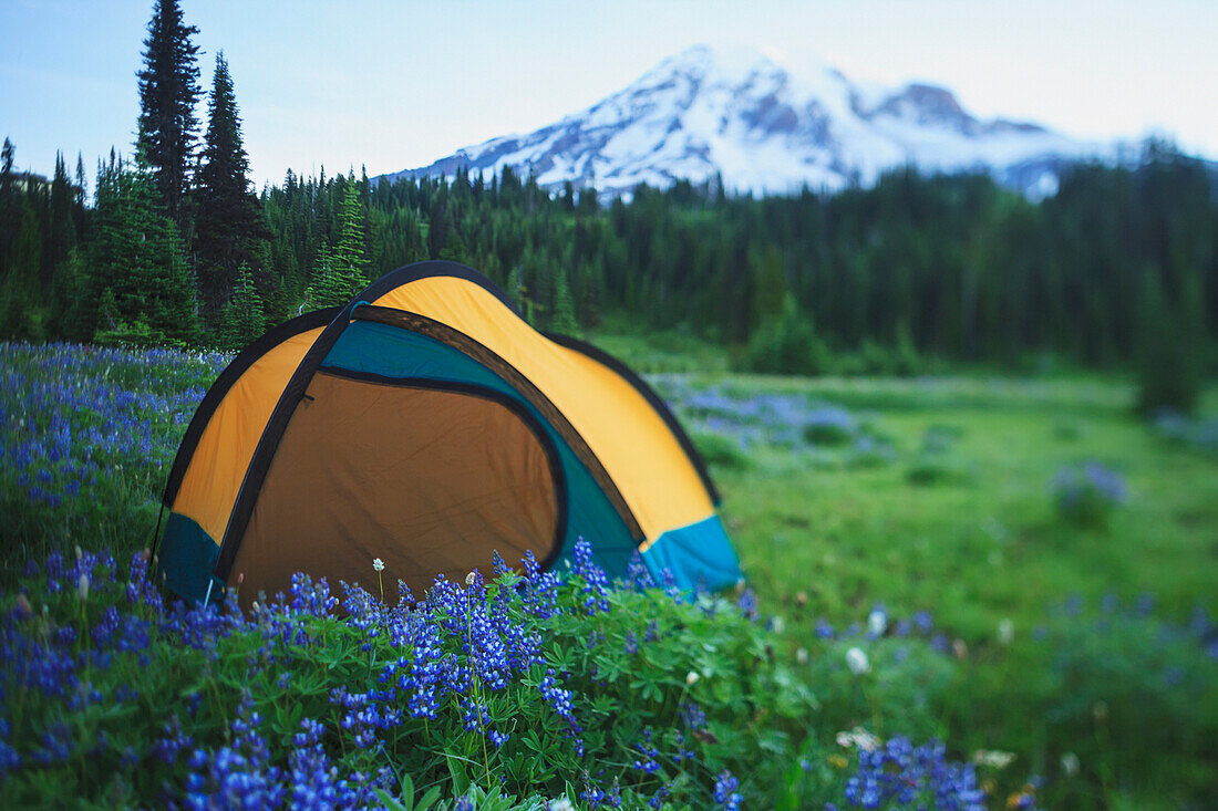'Back country camping near the skyline trail mount rainier national park;Washington united states of america'