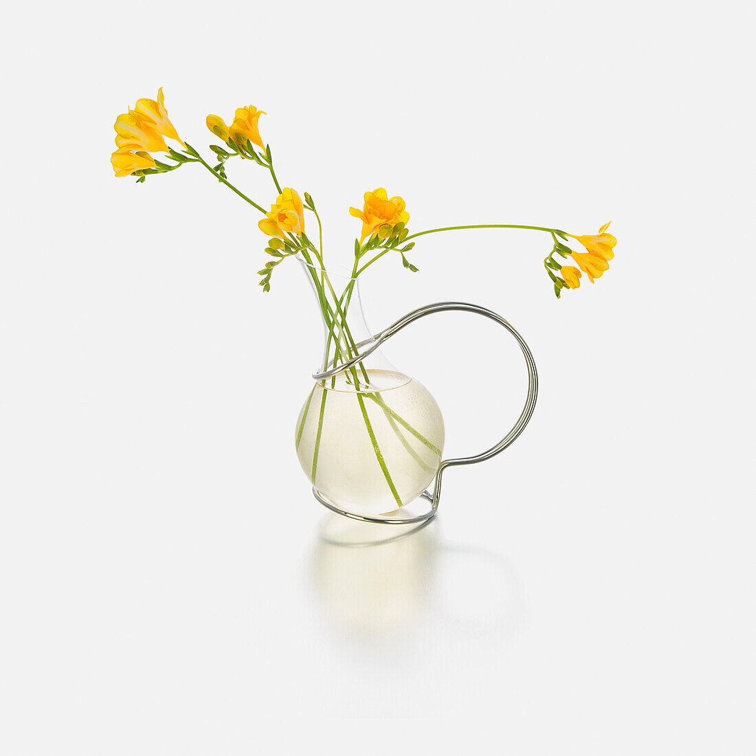Gelbe Blumen in einer Glasvase vor weißem Hintergrund