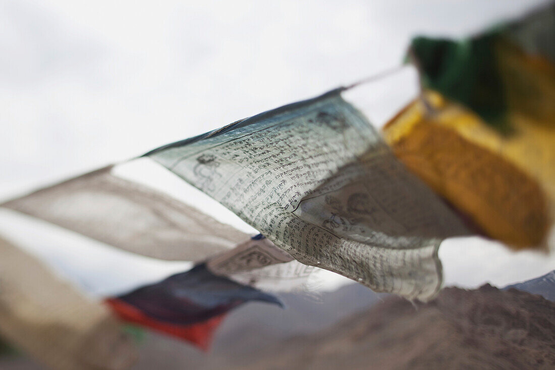 'Indian Prayer Flags Blowing In The Wind; Leh, Ladak, India'