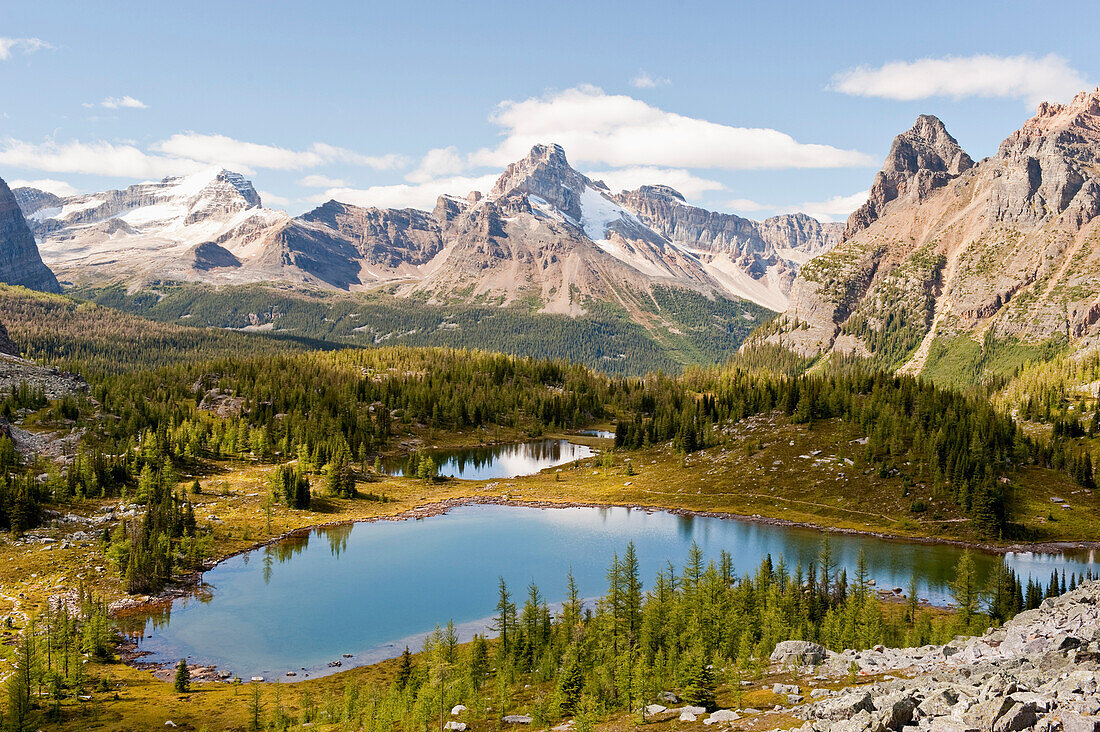 'Opabin Plateau In Lake O'hara Region; Yoho National Park, British Columbia, Canada'