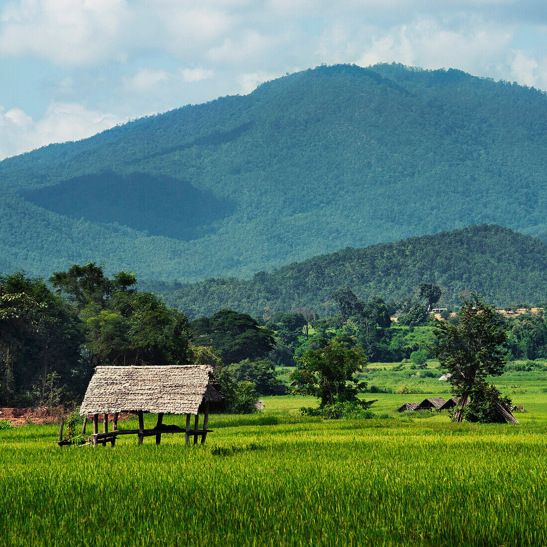 'A Wooden Shelter In A Mountainous Area; Mae Hia, Chiang Mai Province, Thailand'