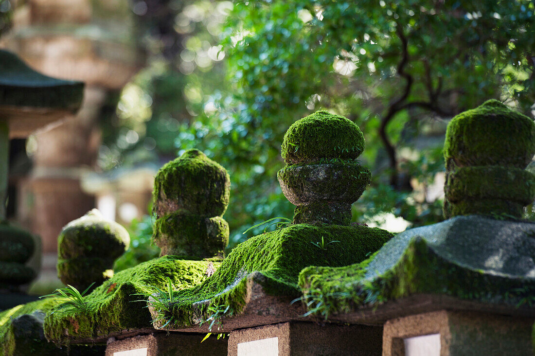 'Detail Of Kasuga Grand Shrine; Nara, Japan'