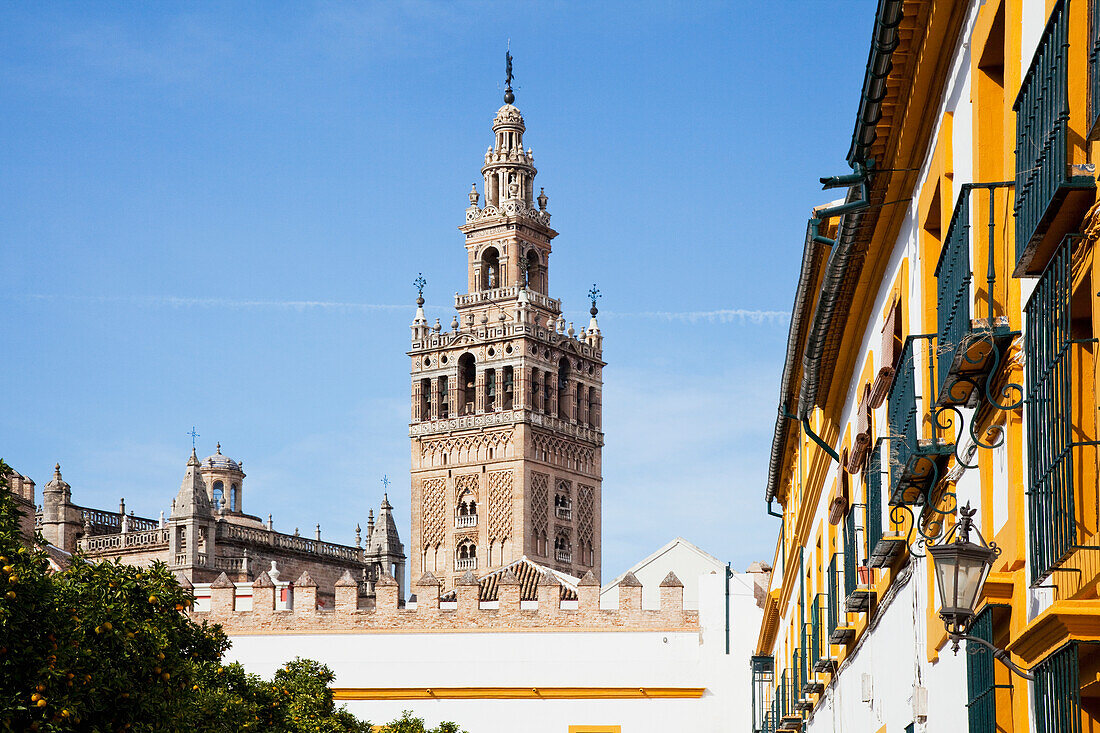 'Buildings In The City Of Sevilla; Sevilla, Andalusia, Spain'