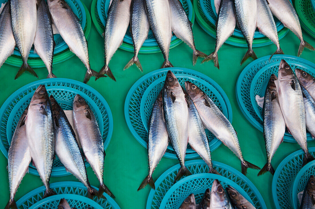 'Fish Laying In Sets Of Four On Display; Busan, Korea'