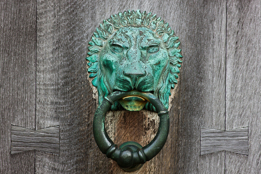 'A Copper Lion Door Knocker On A Wooden Door; Northumberland, England'