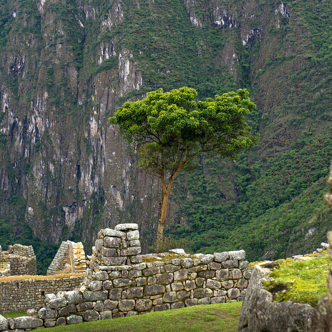 'Stone Structures At Machu Picchu; Peru'