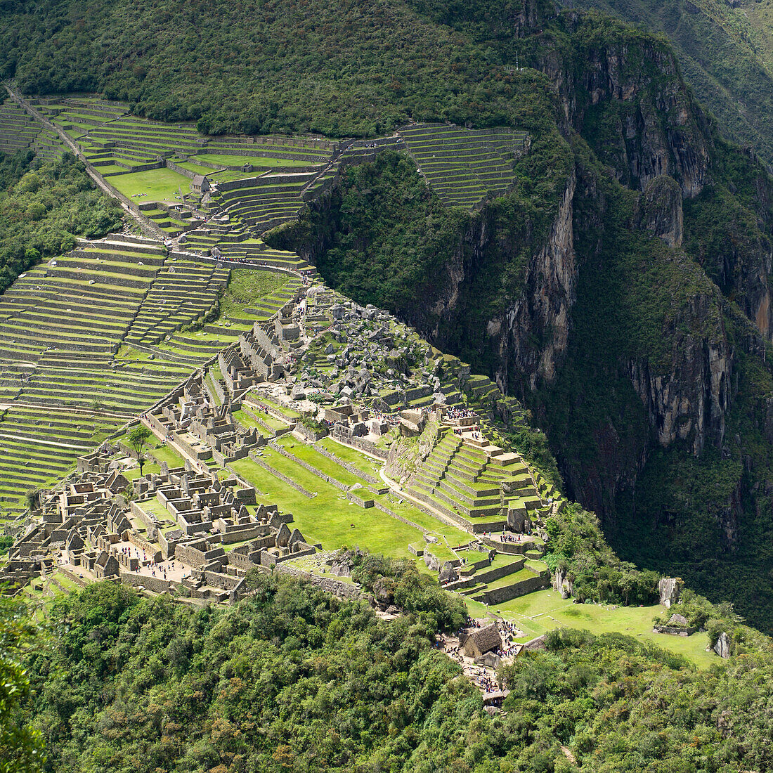 'The Historic Lost City Of Inca Machu Picchu; Peru'