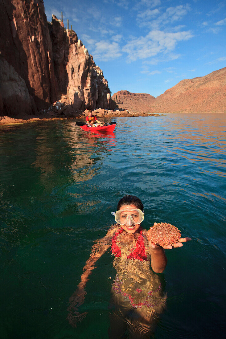 'A Tourist Holding Marine Life In Her Hand In The Water At Espiritu Santo Island; La Paz, Baja, California, Mexico'