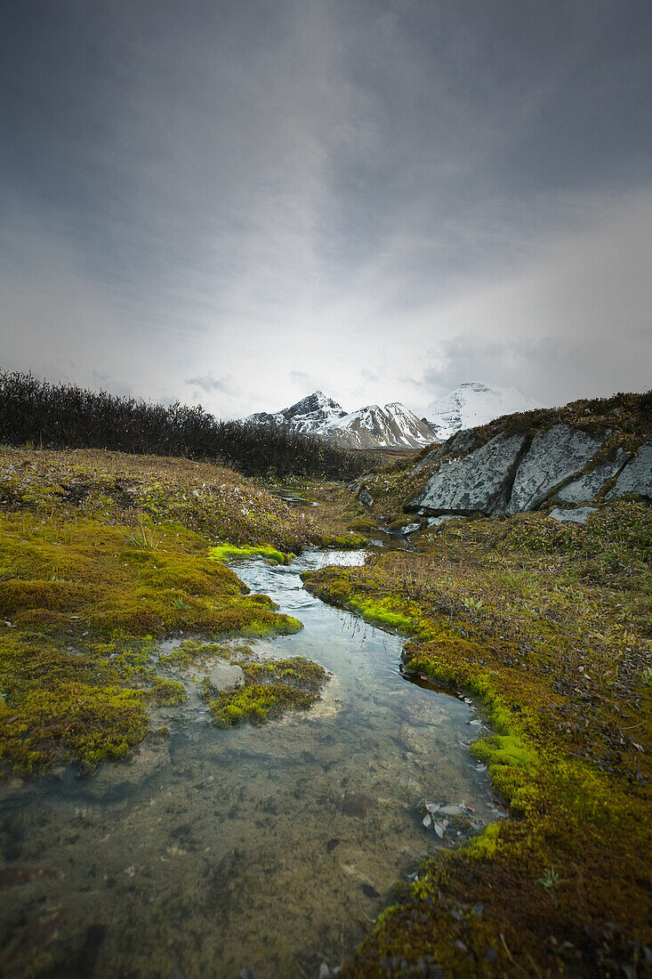 'A Small Stream With A Mountain In The Background; Jasper, Alberta, Canada'