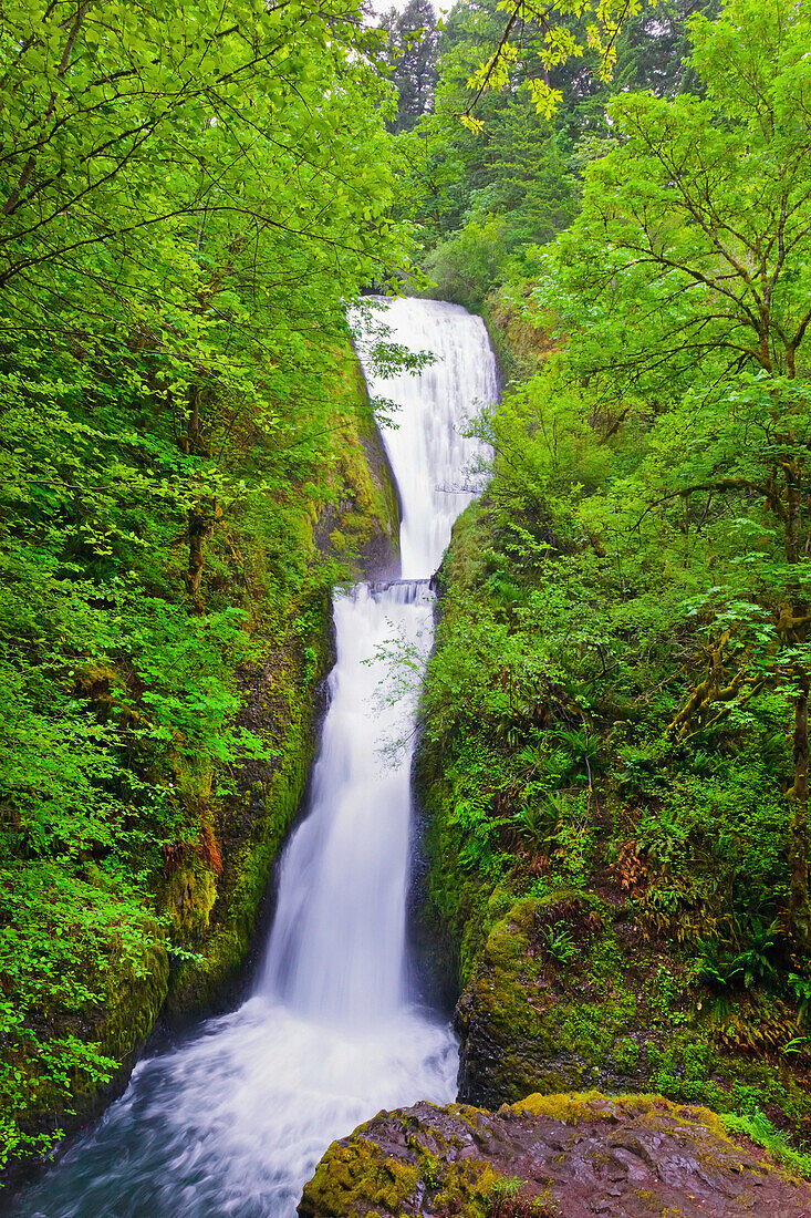 'Bridal Veil Falls In Columbia River Gorge National Scenic Area In The Pacific Northwest; Oregon, United States of America'