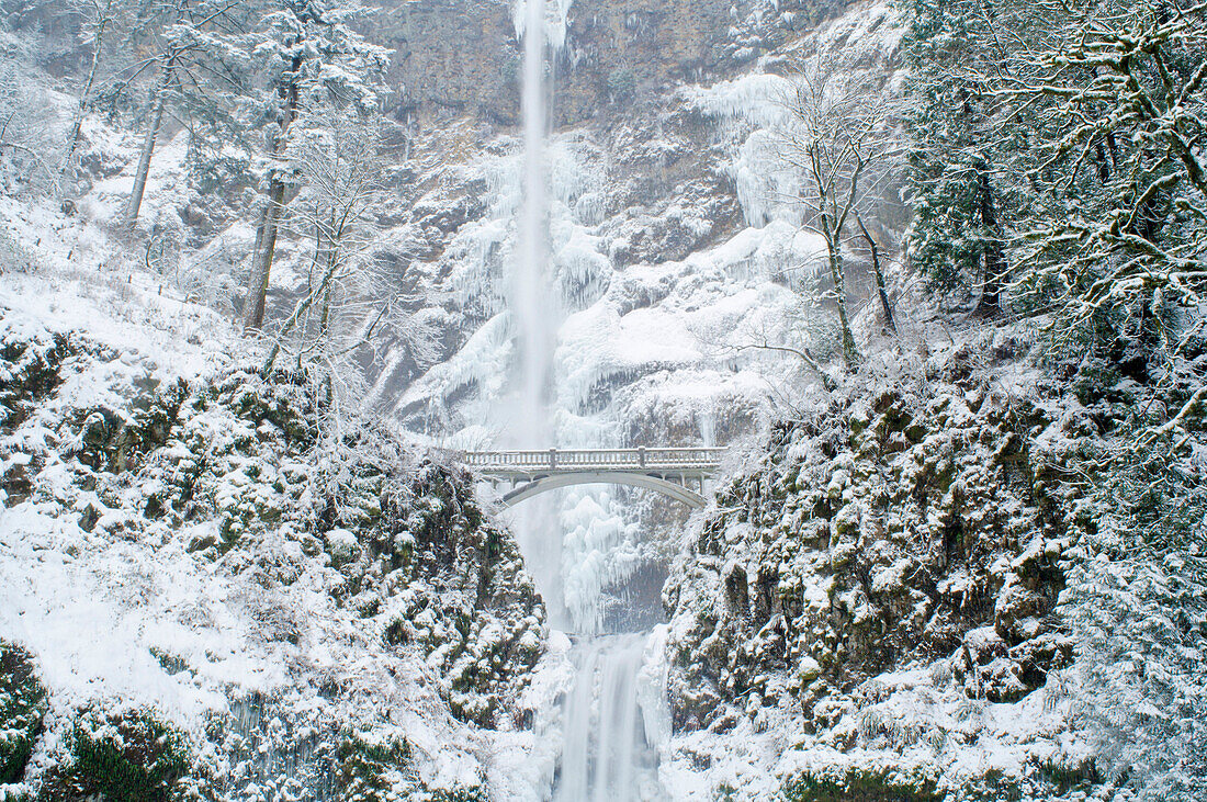 Multnomah Falls In Winter, Columbia River Gorge, Oregon, Usa