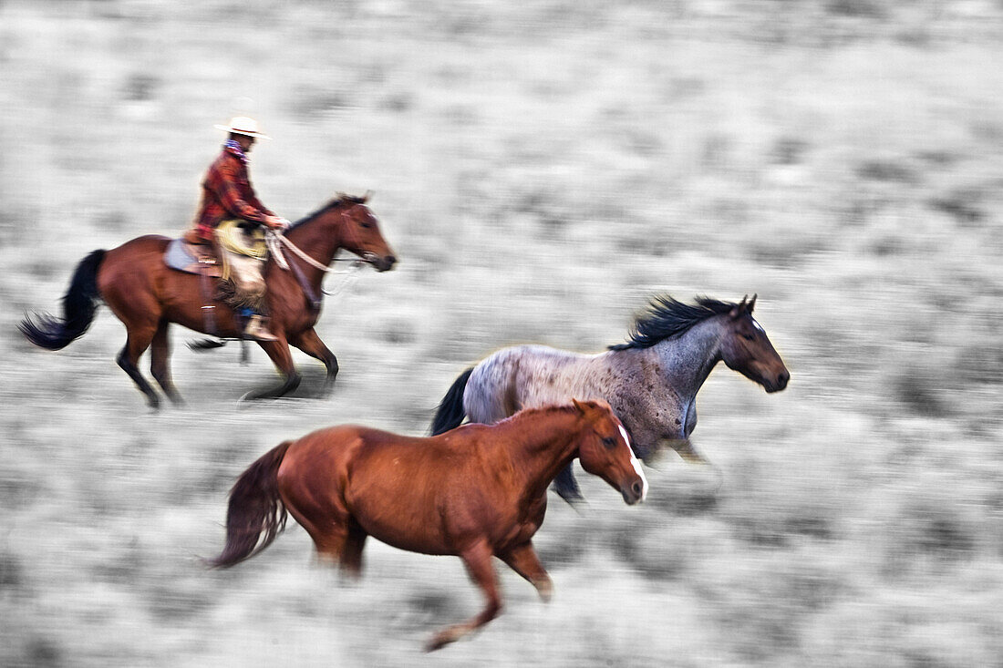 Man Riding Horse