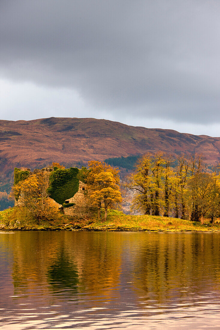 Shoreline With Fall Colors, Argyll And Bute, Scotland