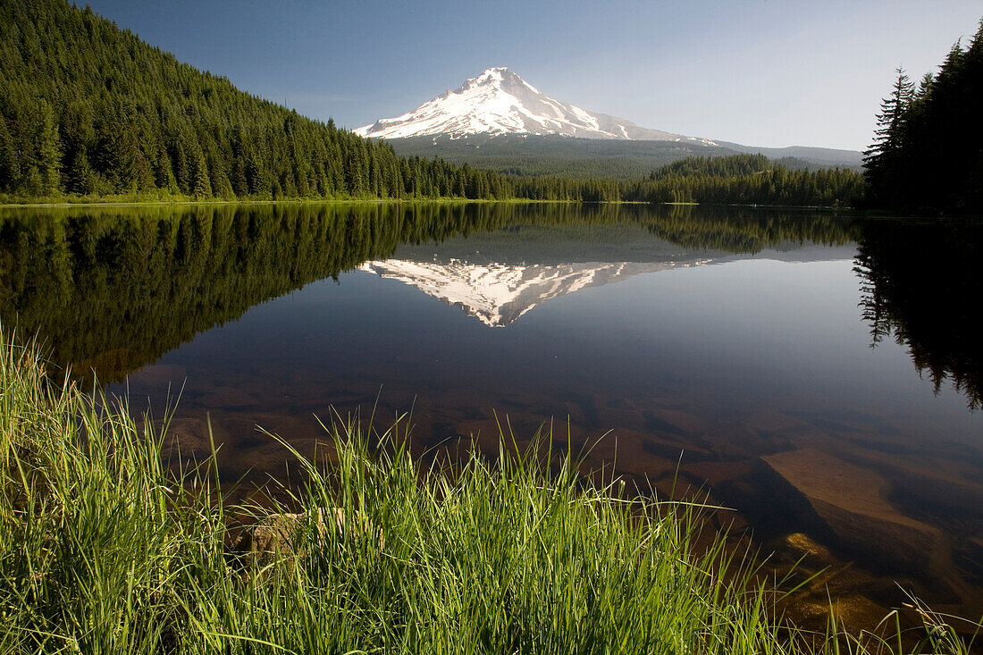 Mountain Reflected In Trillium Lake, Mount Hood National Forest, Oregon, United States Of America