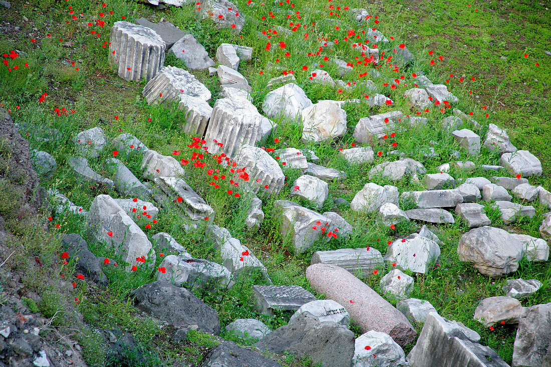 'Florence, Italy; Flowers Growing Among Ruins'