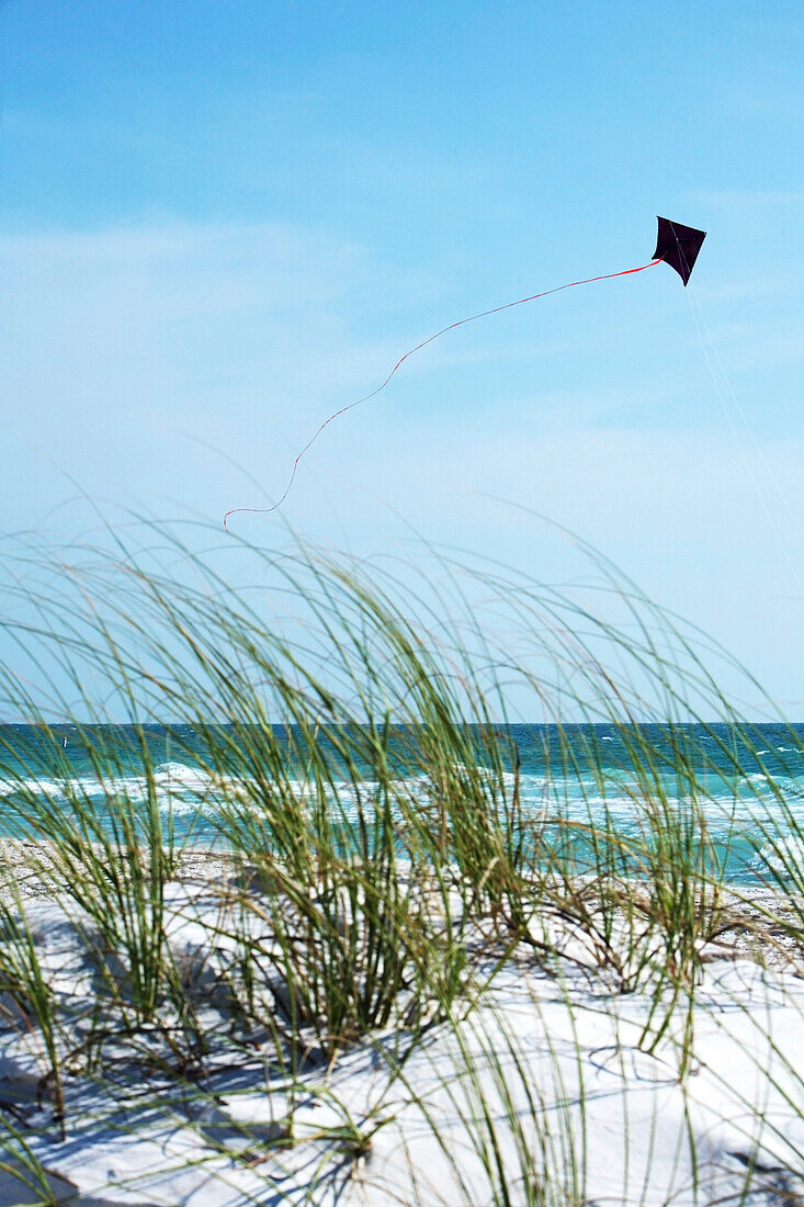 'Bradenton Beach, Florida, Usa; Kite Flying On The Beach'