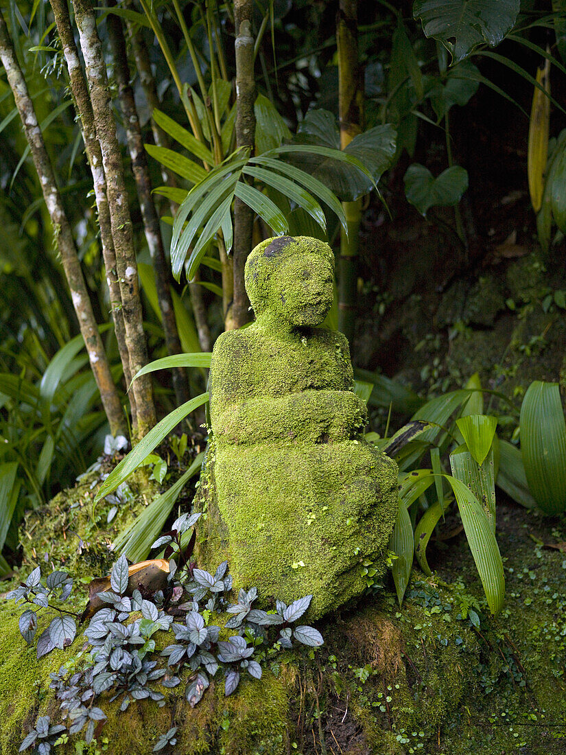 'Bali, Indonesia; Moss-Covered Stones'